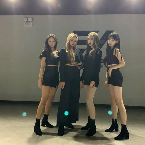 블랙맘바 영상촬영